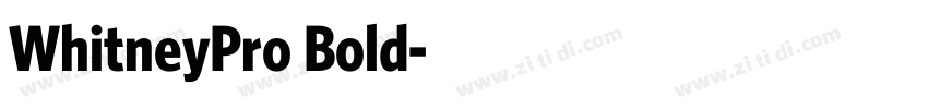 WhitneyPro Bold字体转换